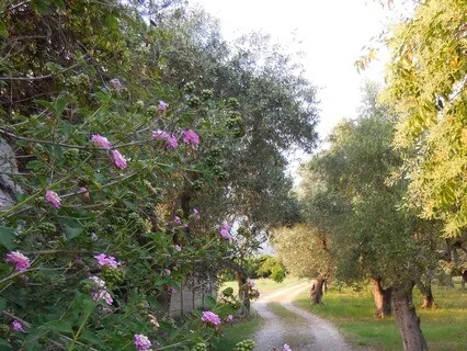 How To Be Happier Than You Ever Were!