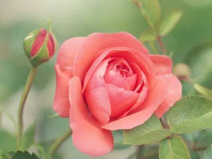 How To Be Happy When You Had Difficult Parents