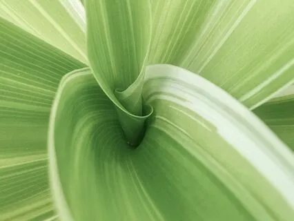 How To Be Human In A World On Fire