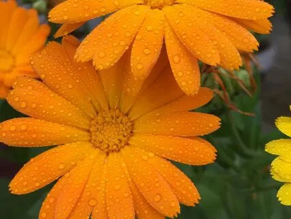 How To Break Rumination Loops