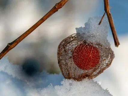 How To Bring In Joy, Merriment And Generosity To Our Lives