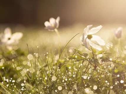 How To Build A Meditation Habit