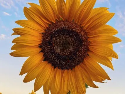 How To Calm Social Anxiety Before, During, And After Events