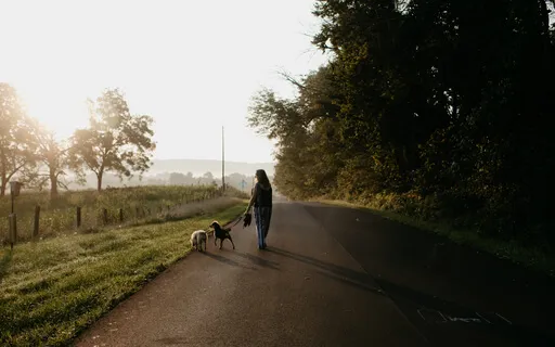 How To Care For Our Suffering