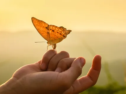 How To Channel The New Energies This New Moon