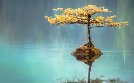 How To Clear Your Mind (Day 2)