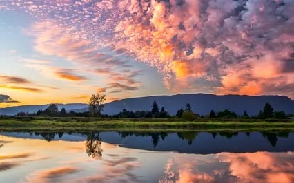 How To Clear Your Mind Of Thoughts  - Meditation 33