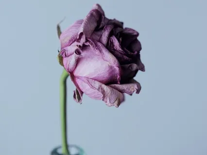 How To Come To Terms With Death