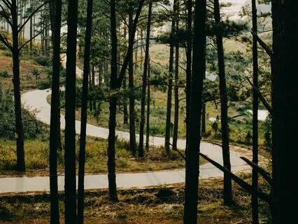 How To Communicate With Love