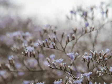 How To Connect With Your Authentic Self