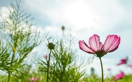 How To Cope After Tragedy