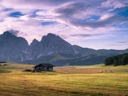 How To Cope With The Lower And Slower 