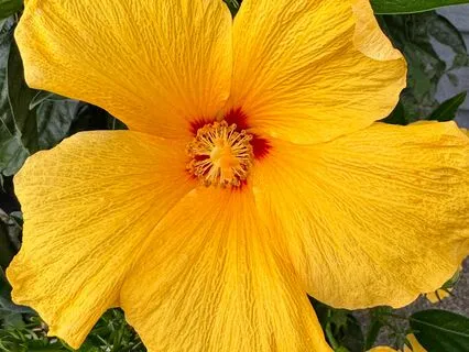 How To Create A Great Day