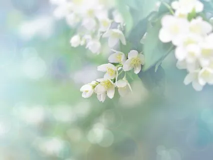 How To Create Space For Feedback And Constructive Criticism