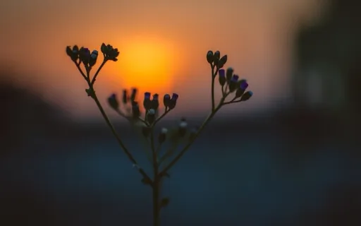 How To Create Your Personal Morning Routine