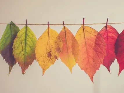 How To Cultivate Adaptability In Times Of Change