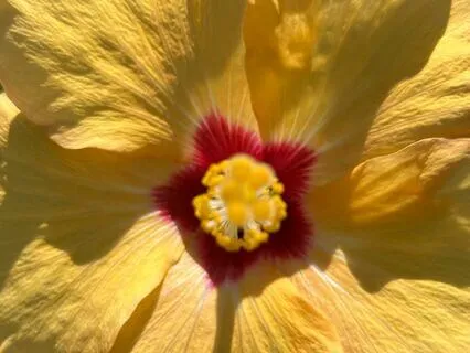 How To Cultivate Gratitude - A Powerful Tool - Talk