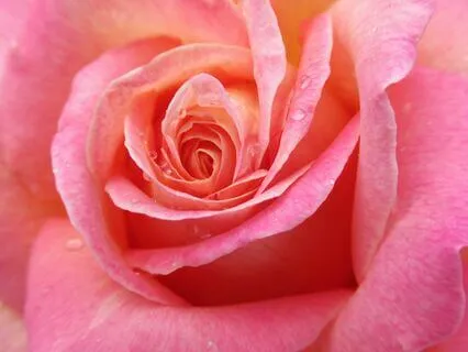 How To Cultivate Self-Tenderness