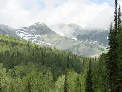 How To Deal With A Restless Mind?