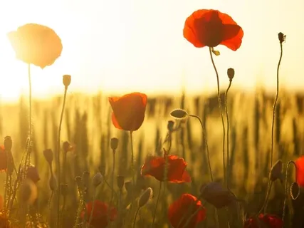 How To Deal With Betrayal