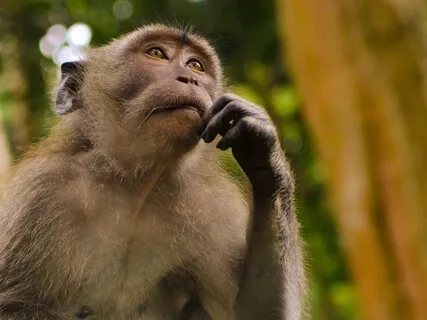 How To Deal With Intrusive Thoughts