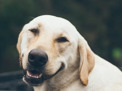 How To Deal With Low Mood