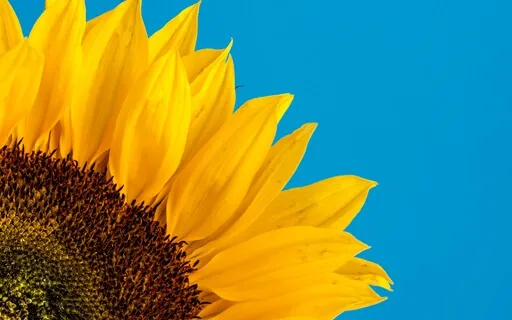 Narcissistic Coach Chimes In On Her Experiences