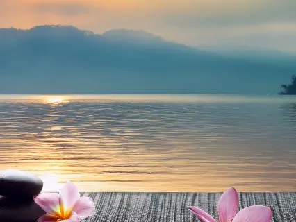 How To Deal With Overwhelm & Stress | Nervous System Reset