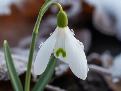 How To Deal With Stupid Questions?