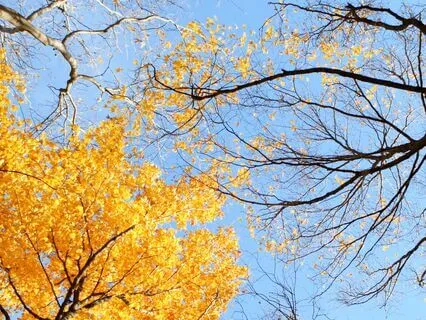 How To Deal With The Messy Middle Of Transitions