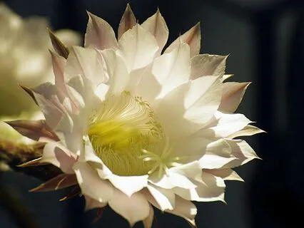 How To Deal With Toxic People