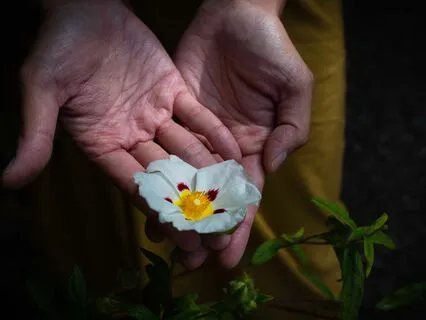 How To Declutter & Let Go With Gratitude