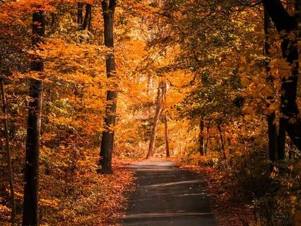 How To Detach & Really Let Go Process