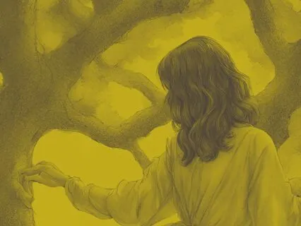 How To Develop A Relationship With Trees