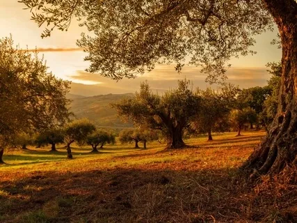 How To Drop The Endless Pursuit Of Superiority