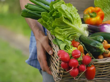 How To Eat With The Seasons According To Ancient Asian Medicines  