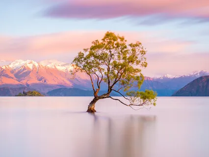 How To Embrace Your Humanity