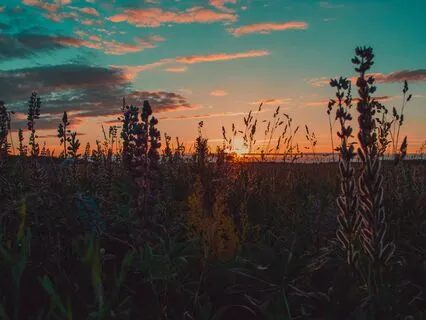 How To End The Day With Gratitude