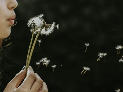 How To Enjoy The Breath Right Here, Right Now