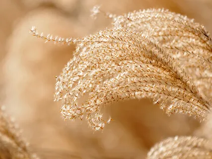 How To Evolve & Heal The World