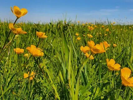 How To Evolve Consciously All The Time