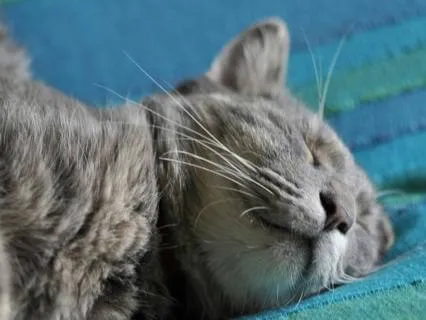 How To Fall Asleep Without Even Trying - 9 Hours