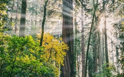 How To Feel Comfortable Being At The Beginning