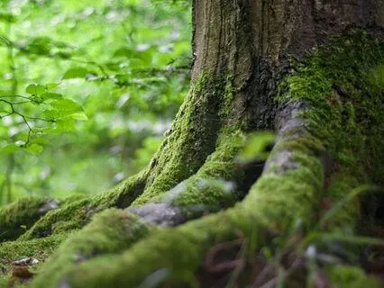 How To Feel Deeply Connected To Life