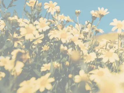 How To Feel Less Stressed