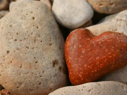 How To Feel The Presence Of The Creator In Everyday Life