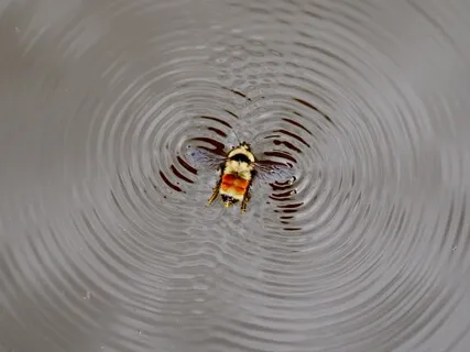 How To Feel The Vibrations Of The Universe In Us?