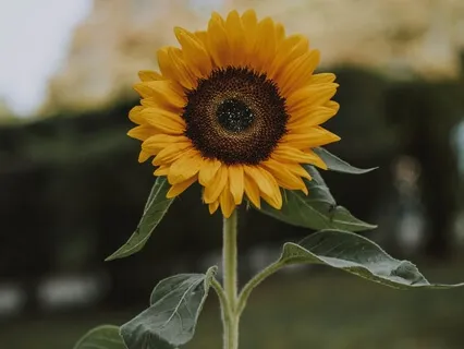 How To Fight Injustice Without Burnout