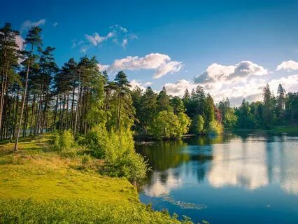 How To Find That Consciousness That Is I Am