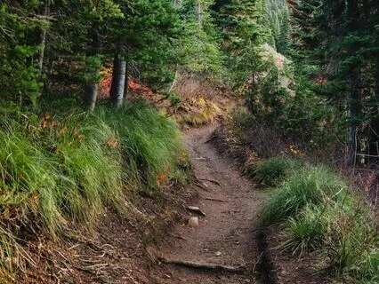 How To Find Your Way In Life